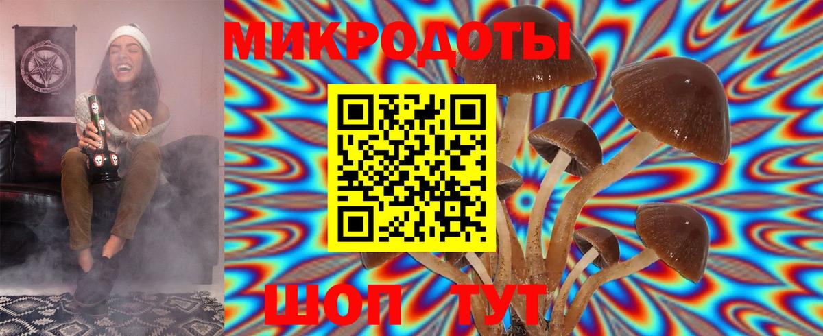Псилоцибиновые грибы мухоморы  Псилоцибиновые грибы прущие грибы  Павлово  Вход с VPN 